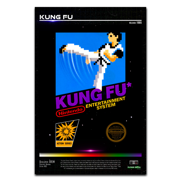 Kung Fu NES Game Cover Art Poster - Retro Flynn