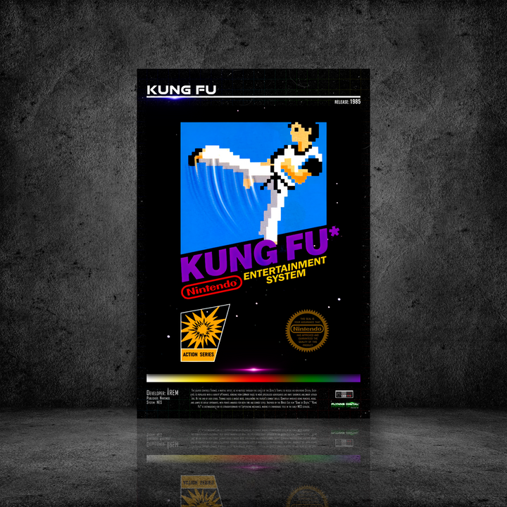 Kung Fu NES Game Cover Art Poster - Retro Flynn